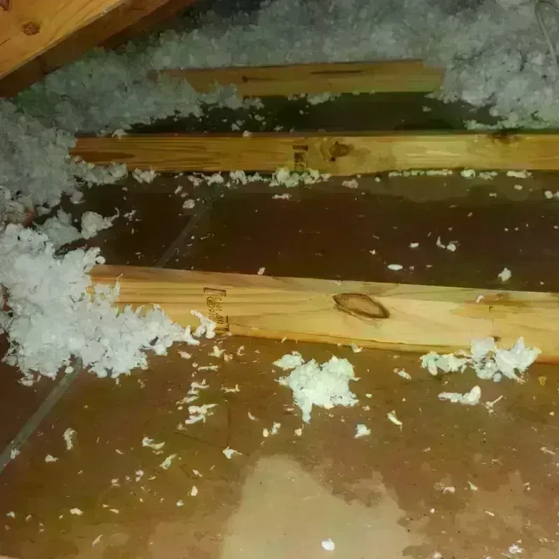 Attic Water Damage in Douglas County, NV