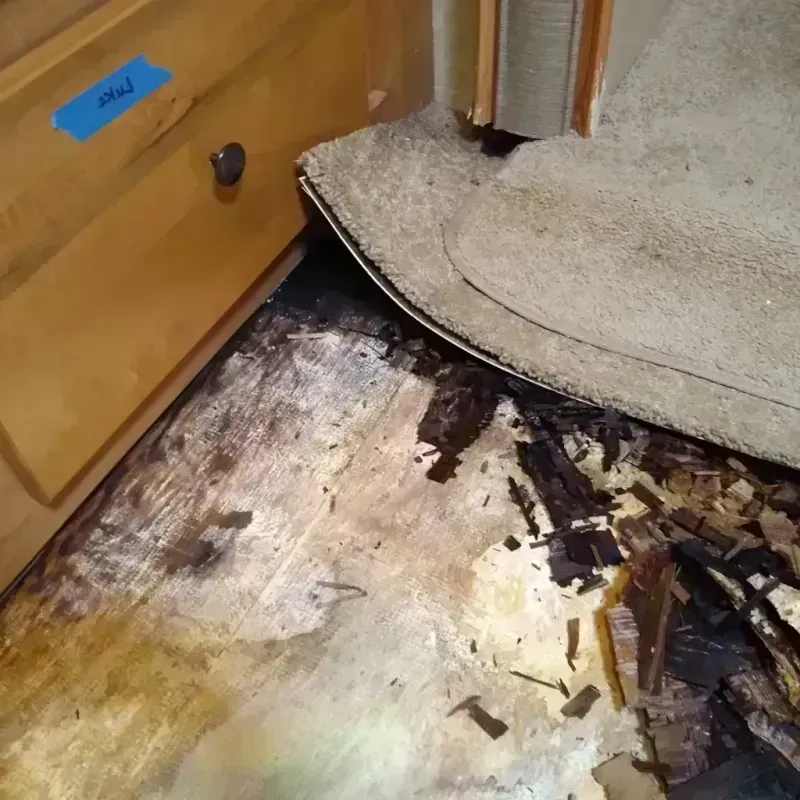 Wood Floor Water Damage in Douglas County, NV